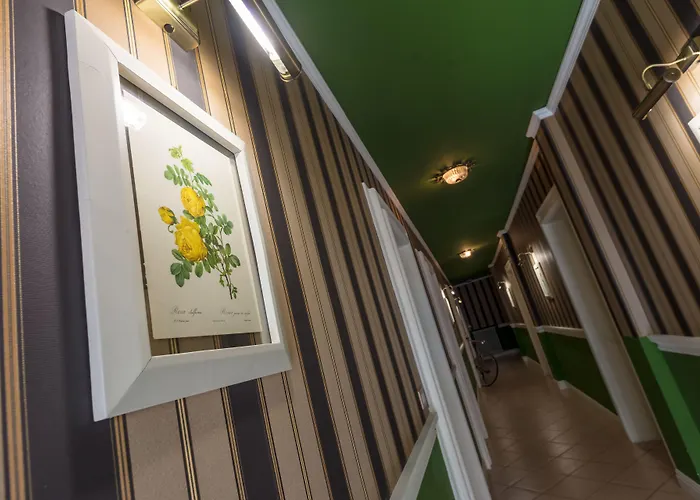 Maximilian 3* バルドリーノ