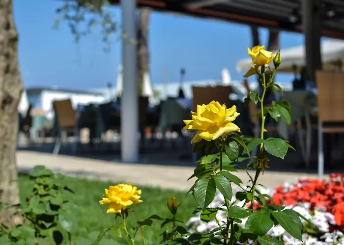 ホテル Maximilian 3*