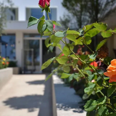 Maximilian Бардолино