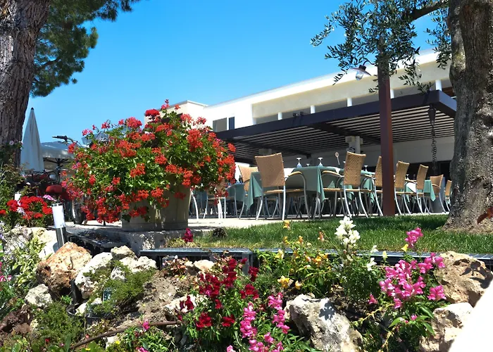 Maximilian Bardolino