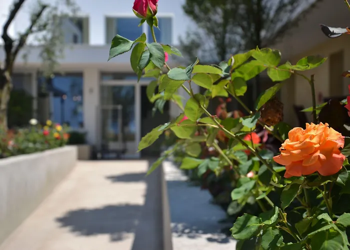 Maximilian Bardolino